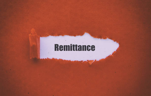 Money Remittance Software